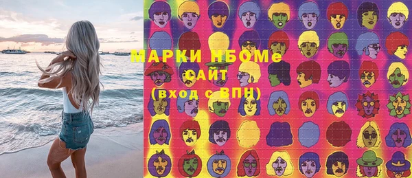 индика Арсеньев
