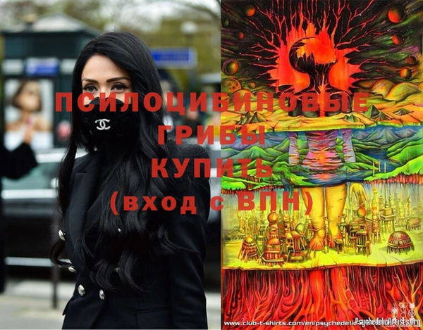 индика Арсеньев