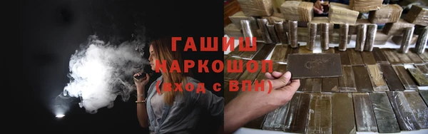 индика Арсеньев