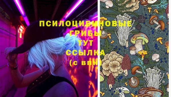индика Арсеньев