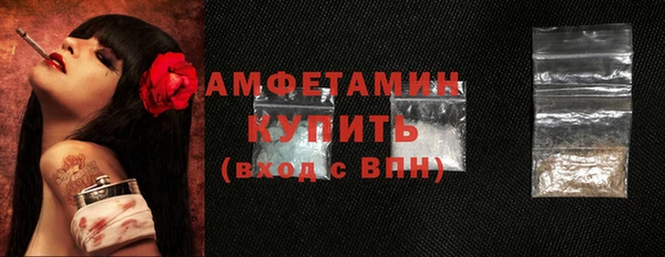 индика Арсеньев
