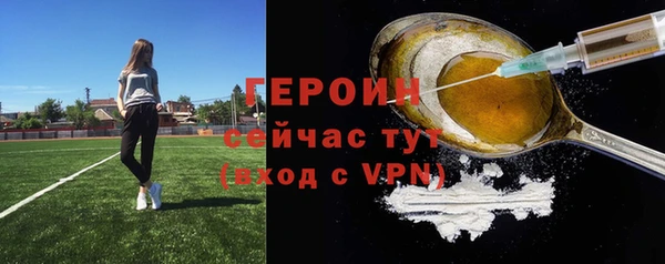индика Арсеньев