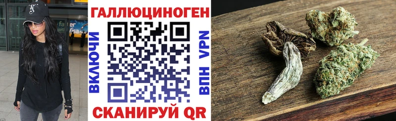 Псилоцибиновые грибы Cubensis  Новоузенск 